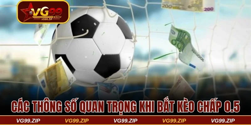 Các thông số quan trọng khi bắt kèo chấp 0.5