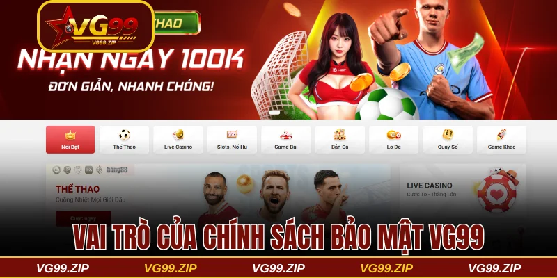 Vai trò cần thiết của chính sách bảo mật VG99